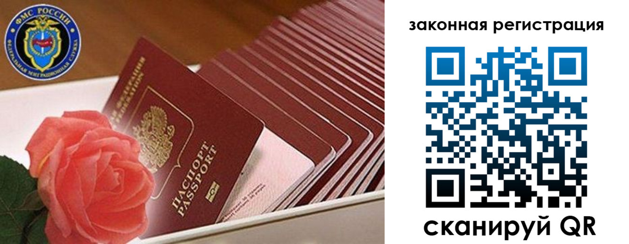 пропишу в квартире в Кудрово